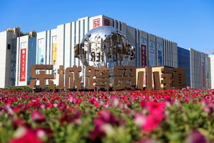 石家莊樂城領跑智慧商貿(mào)產(chǎn)業(yè)集群,促進商貿(mào)流通發(fā)展